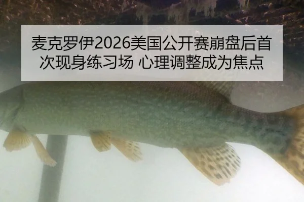 麦克罗伊2026美国公开赛崩盘后首次现身练习场 心理调整成为焦点