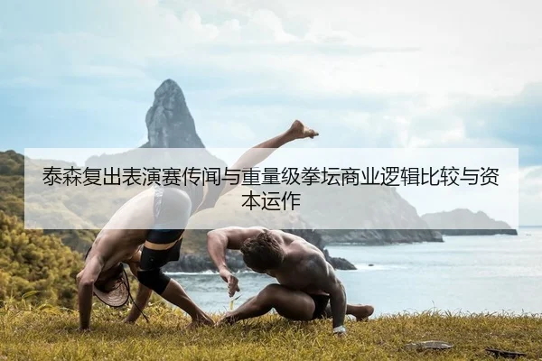 tai-sen-fu-chu-biao-yan-sai-chuan-wen-yu-zhong-liang-ji-quan-tan-shang-ye-luo-ji-bi-jiao-yu-zi-ben-yun-zuo-2-421.jpg